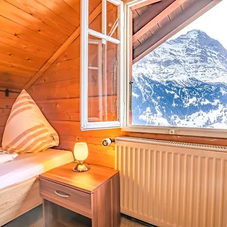 Weid - Aare Jungfrau Ag 펜션 *