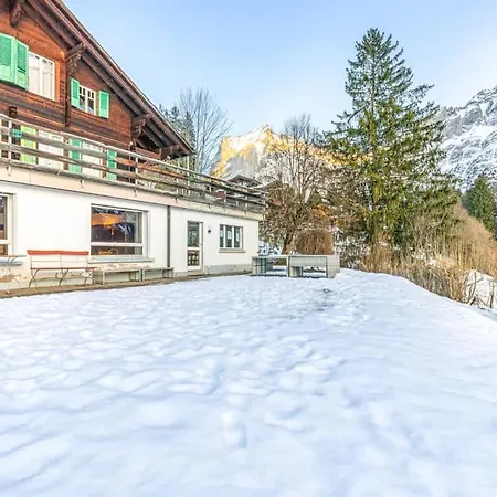 Weid - Aare Jungfrau Ag 펜션 그린델발트