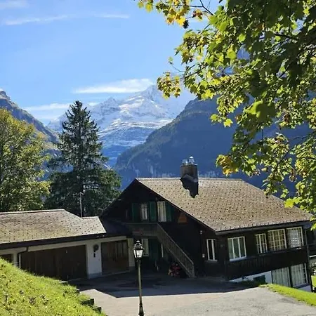 펜션 Weid - Aare Jungfrau Ag