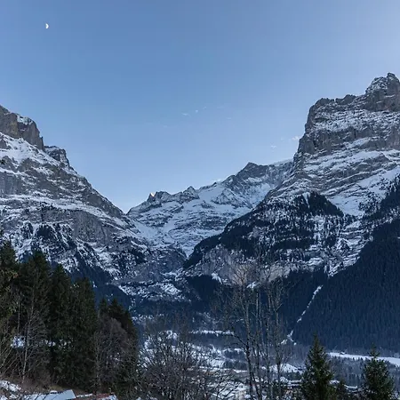 Weid - Aare Jungfrau Ag * جريندلوالد