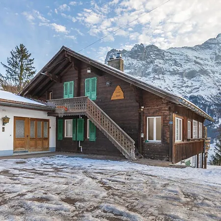 Weid - Aare Jungfrau Ag * جريندلوالد