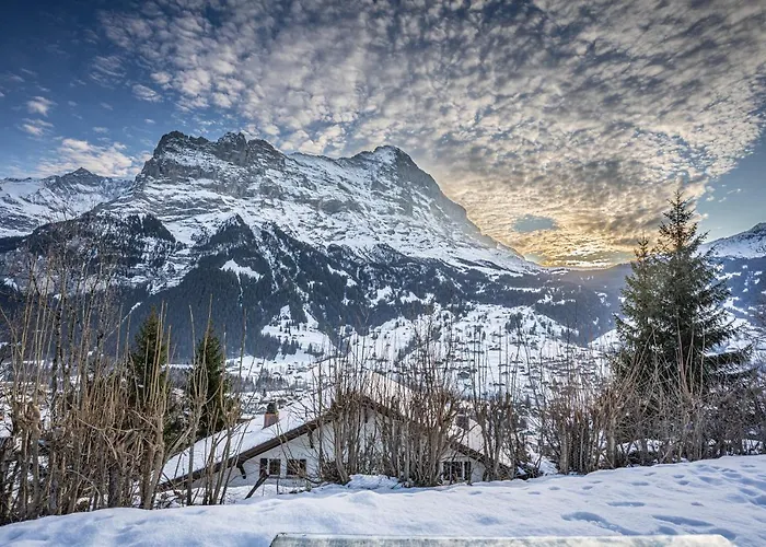 Weid - Aare Jungfrau Ag Alpesi faház *
