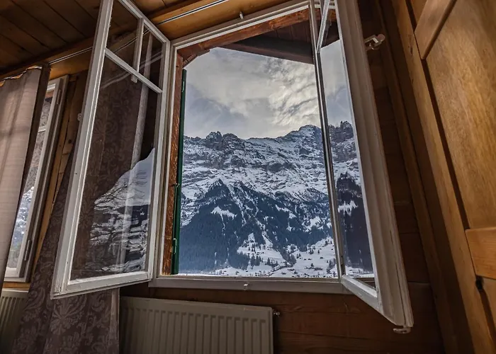 Weid - Aare Jungfrau Ag *