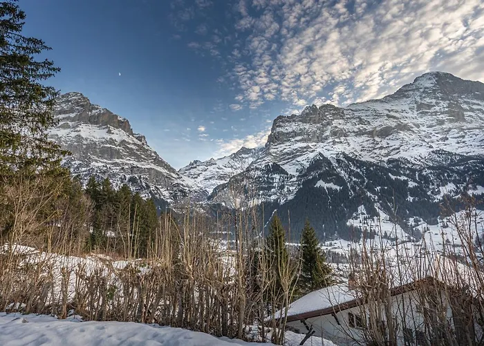 Weid - Aare Jungfrau Ag